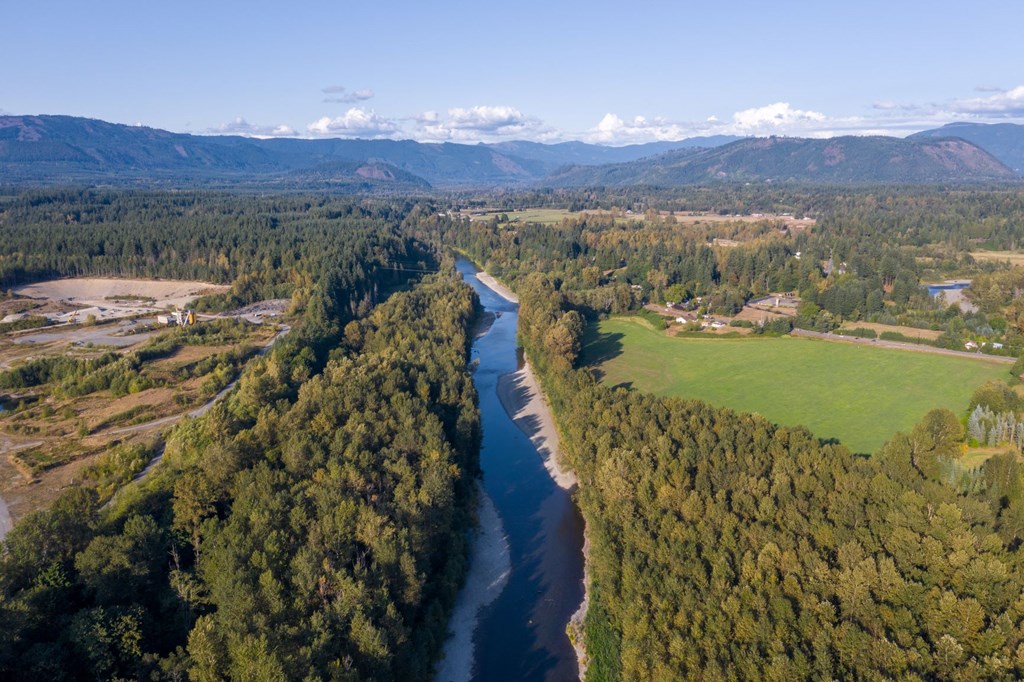 an aerial view of a river flowing through a forest