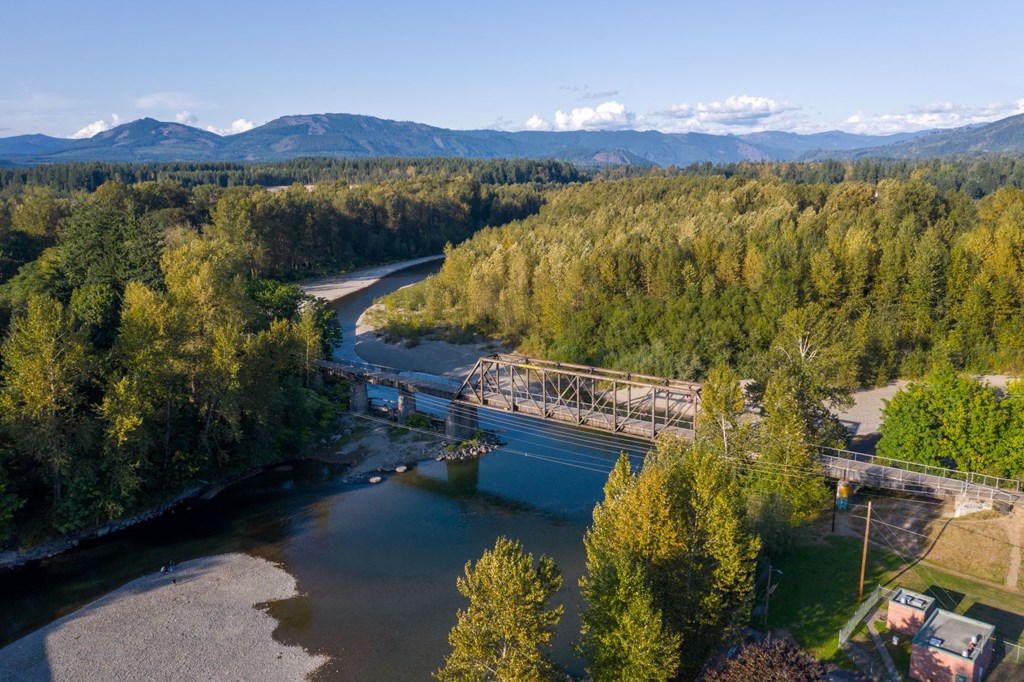 arial view of a river flowing through a forest and a bridge