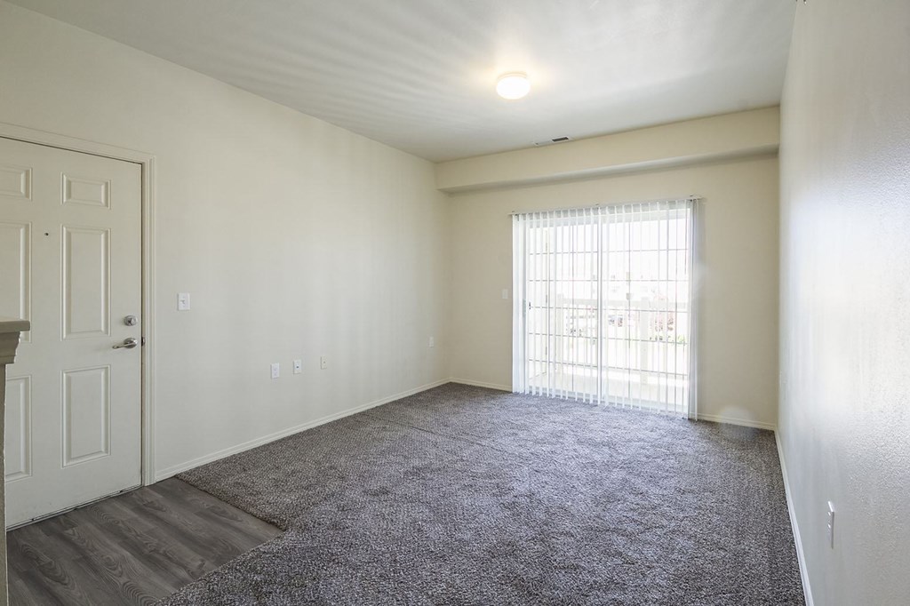 A room with a carpeted floor, a door, and a window with bars.