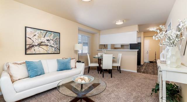 Studio apartment at Barkley Apartments in Bellingham, WA