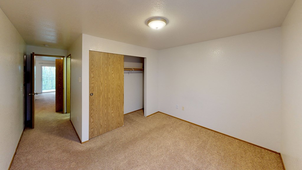 a room with carpet and a door to a closet