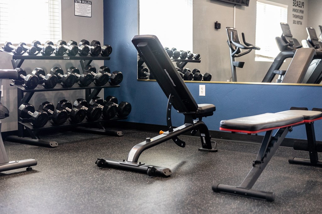 A gym with a bench, weights, and dumbbells.