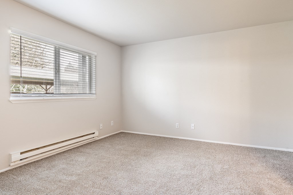 a bedroom with a carpeted floor and a large window
