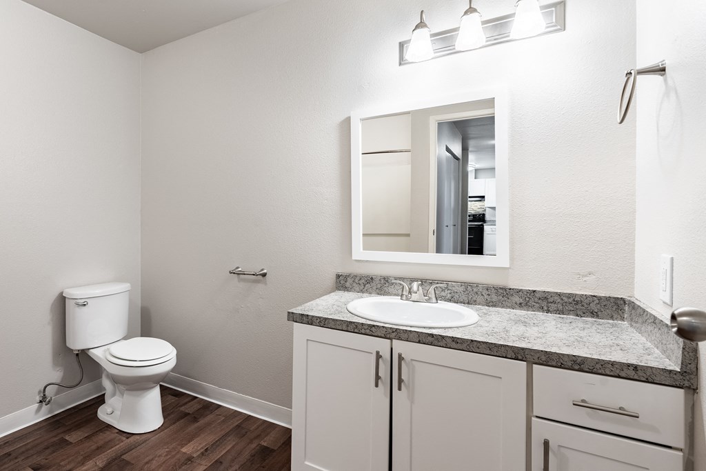 a bathroom with a toilet sink and mirror