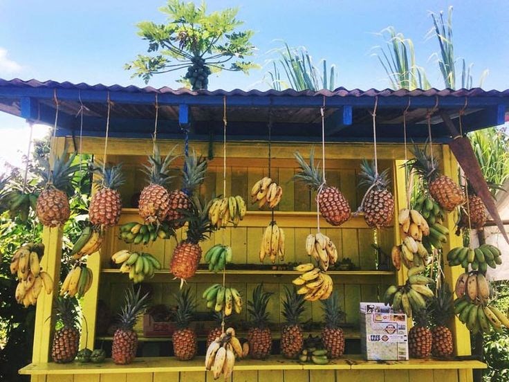 a fruit stand with bananas and pineapples hanging from it
