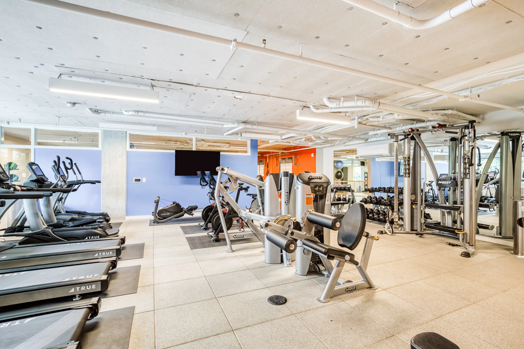 a gym with cardio equipment and weights on the floor