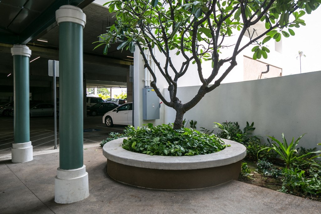 a large planter with a tree in front of a building