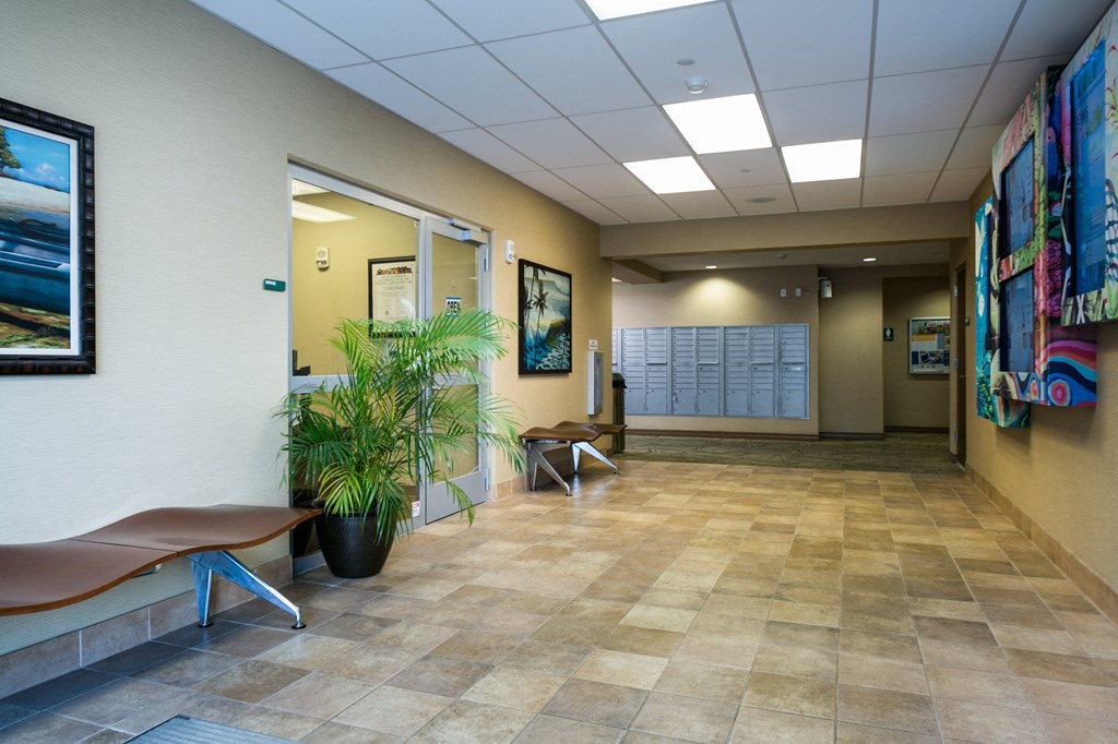 a hallway with benches and a plant in a lobby