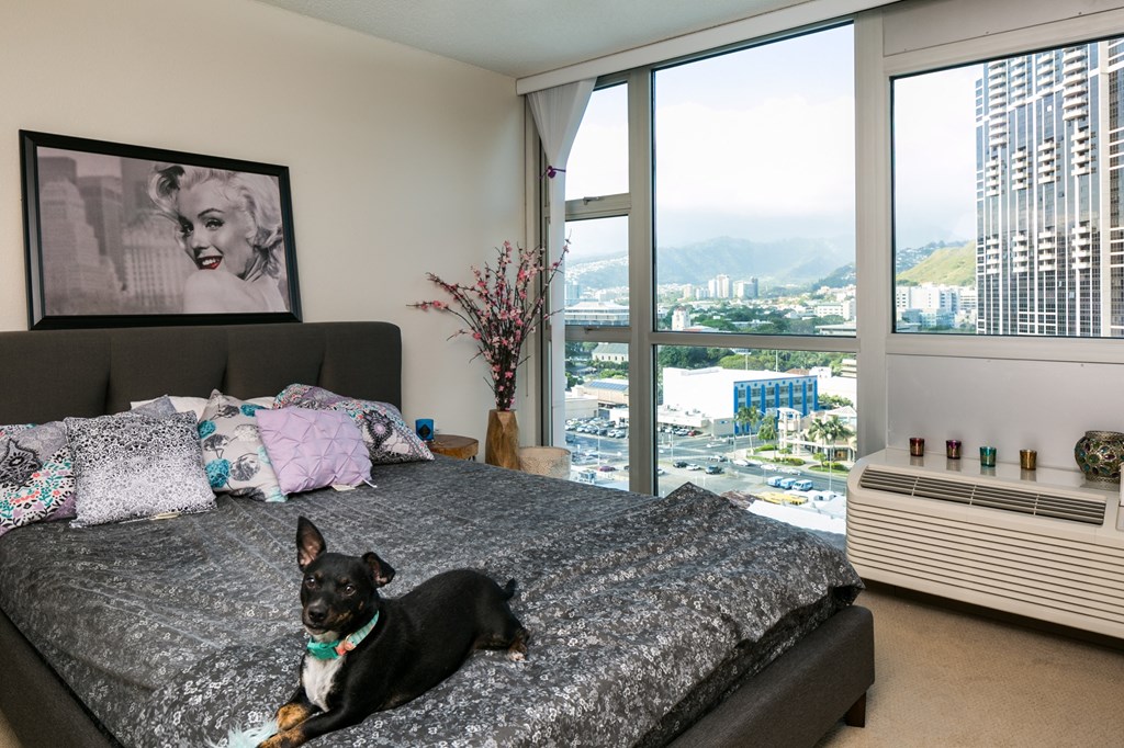 a dog laying on a bed in a bedroom with a view of the city