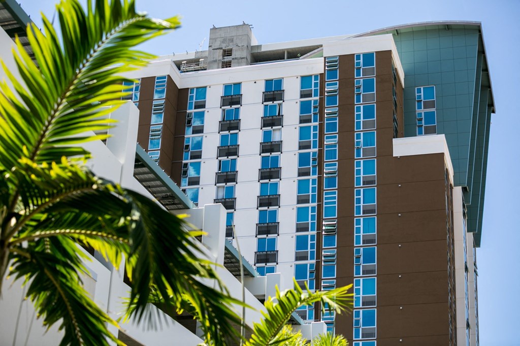 a tall building with a palm tree in front of it