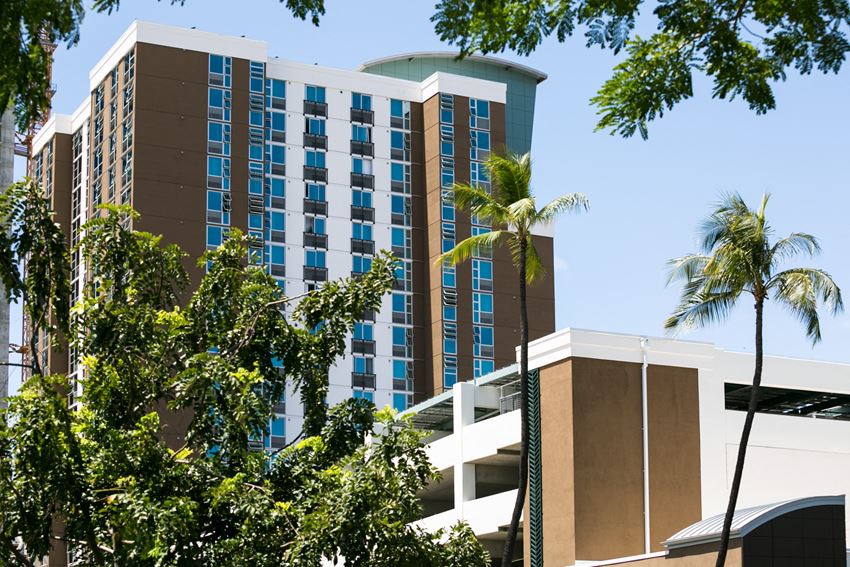 665 Halekauwila Street Studio-1 Bed Apartment, Affordable for Rent - Photo Gallery