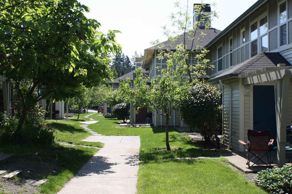A tree-lined residential street with a sidewalk and a chair on the porch.