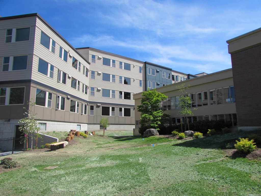 A grassy area in front of a building with a tree and a bench.