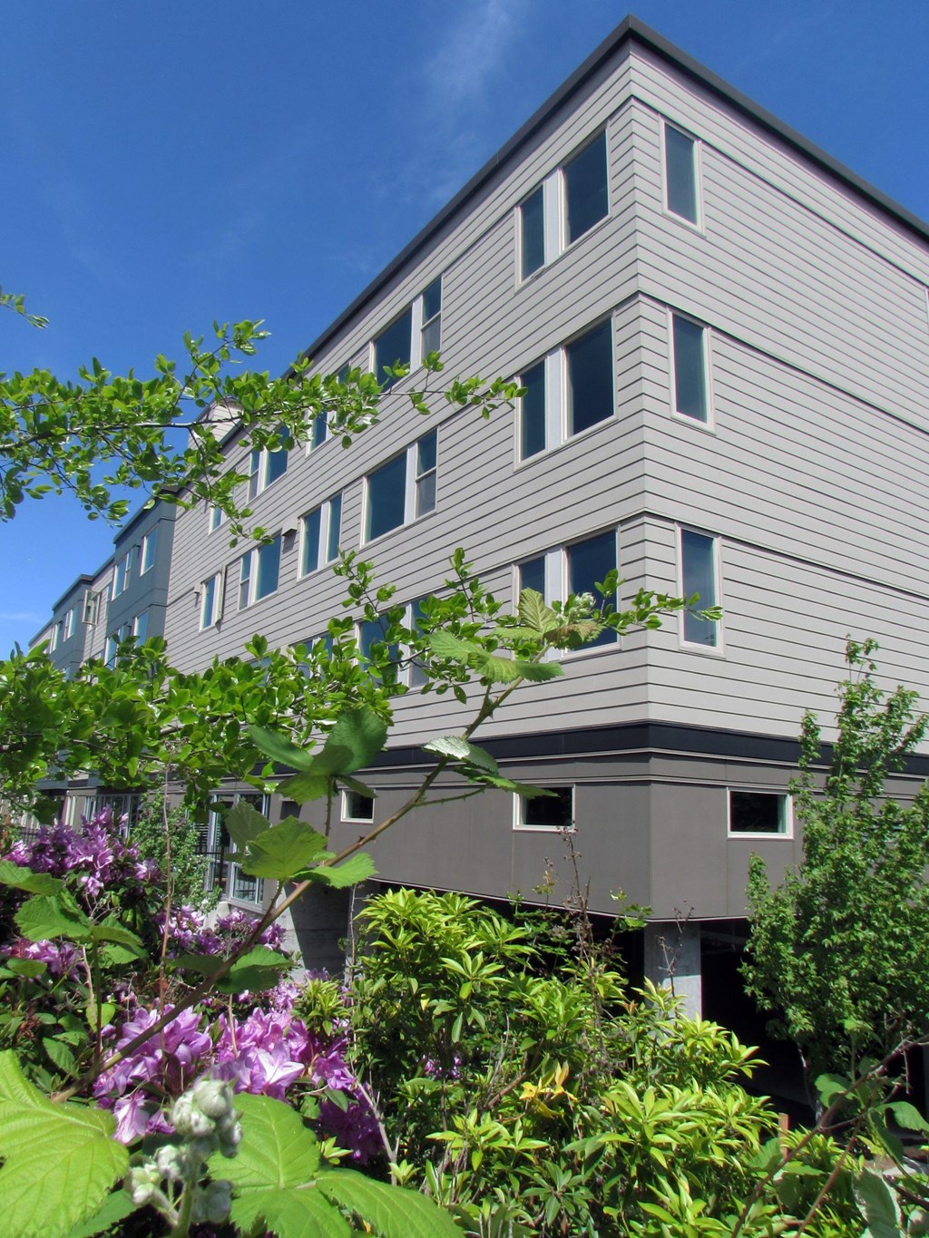 A grey building with a lot of windows and plants in front.