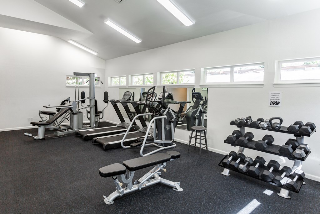 a gym with weights and cardio equipment on the floor and windows