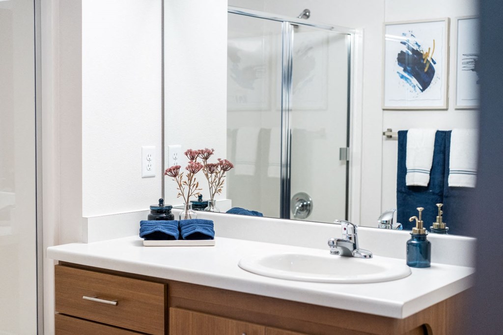 a bathroom with a sink and a mirror