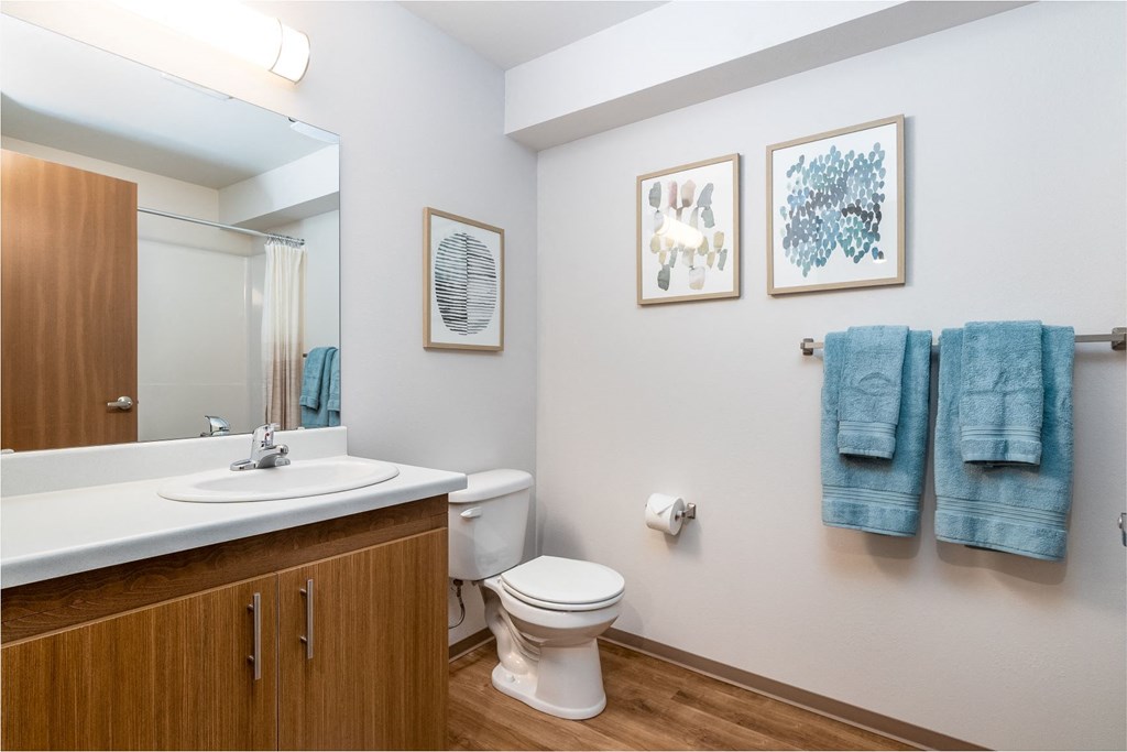 a bathroom with a toilet and a sink and a mirror