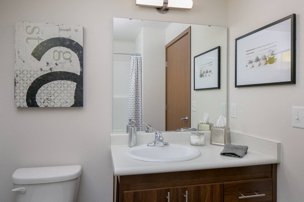 a bathroom with a sink and a mirror and a toilet
