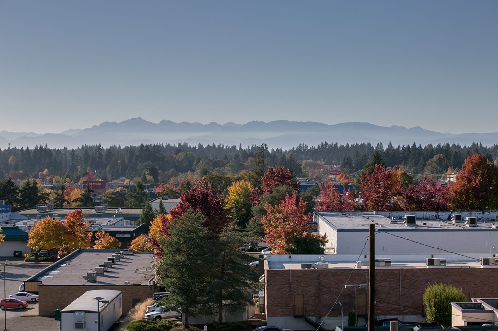 an aerial view of a city with trees and mountains in the background