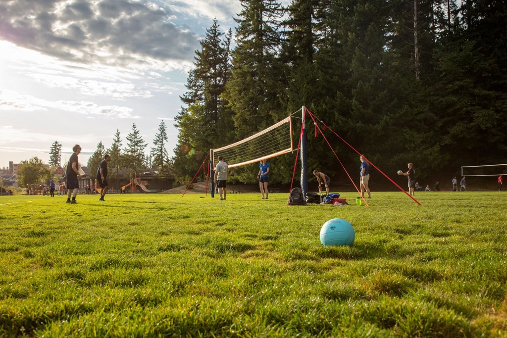 a group of people playing volleyball on a field