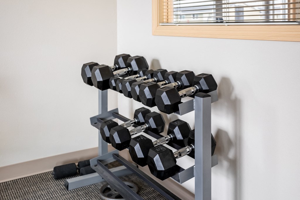 the weights rack in the corner of a room with weights on it