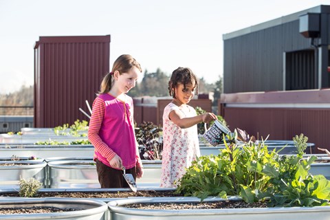two young girls working in a garden