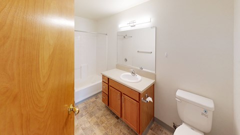 a bathroom with a toilet and a sink and a mirror