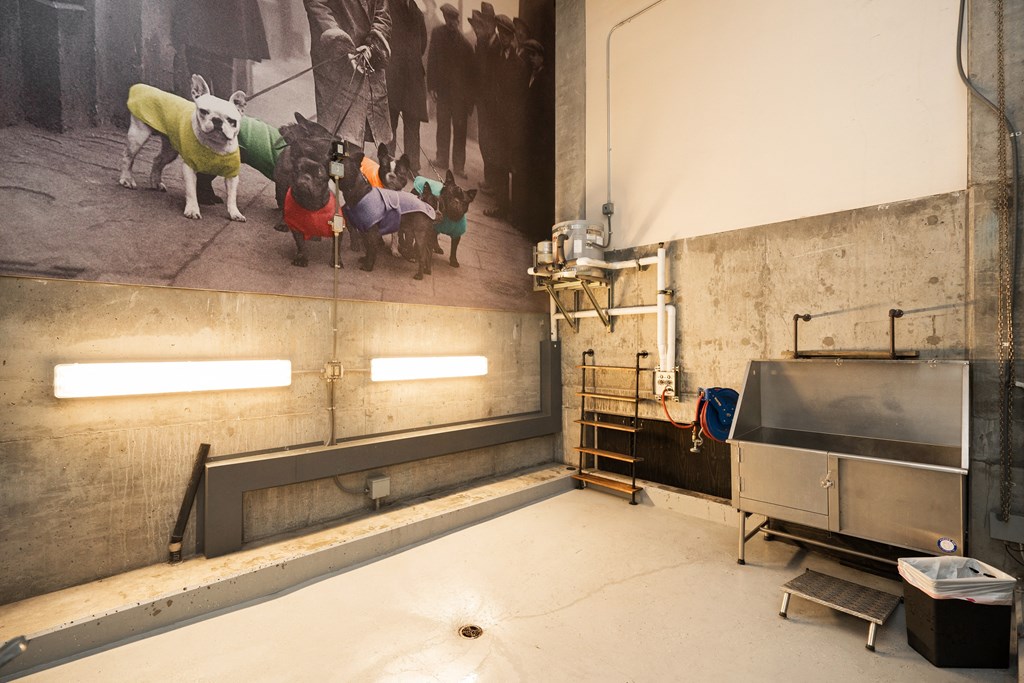 a mural of dogs on a wall in a room with a sink