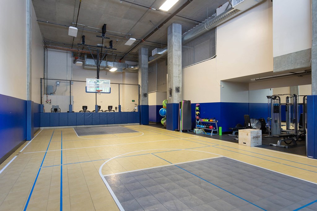 a gym with a basketball court and blue dividers on the floor
