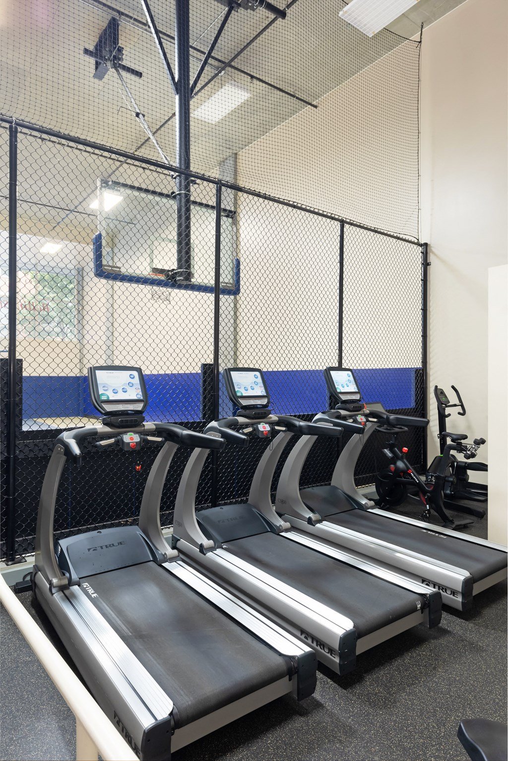 a group of cardio machines in a gym