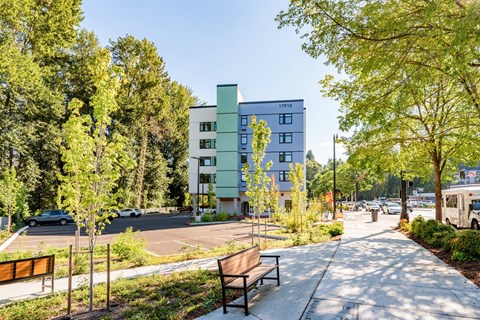 A tree-lined street with a bench and a building in the background.