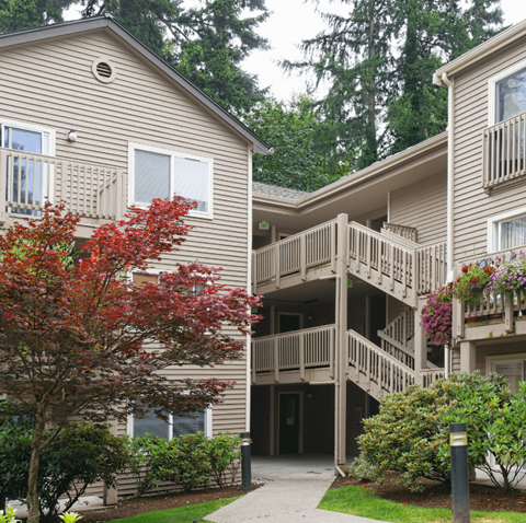 A tree with red leaves is in front of a building.