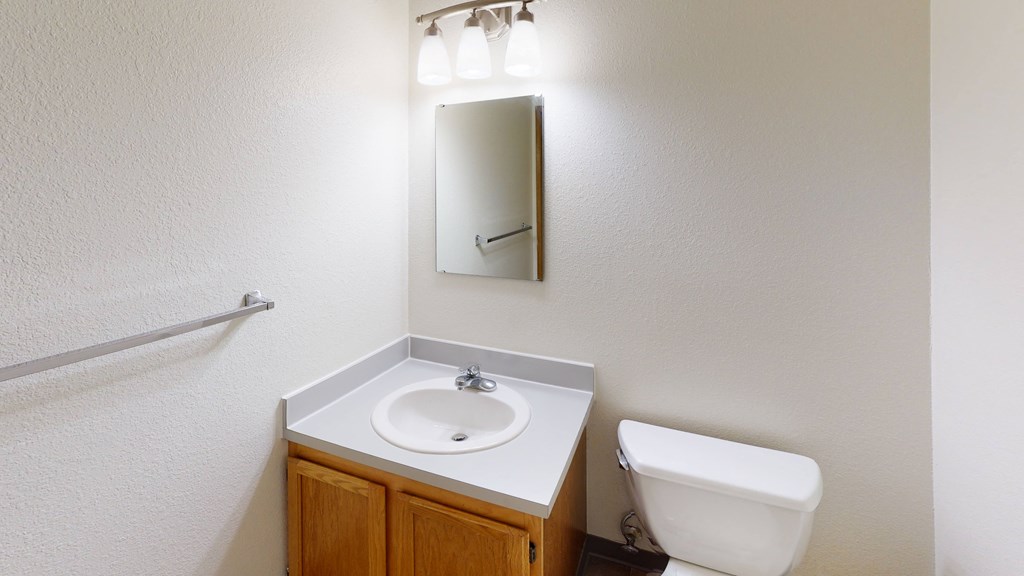 a bathroom with a sink and a toilet and a mirror
