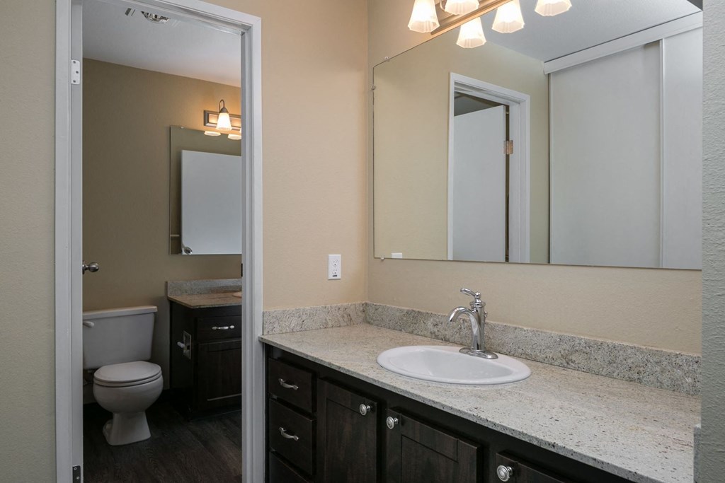 a bathroom with a sink and a toilet and a mirror