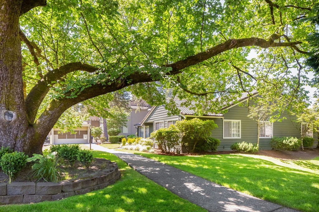 a pathway through a yard in front of a green house