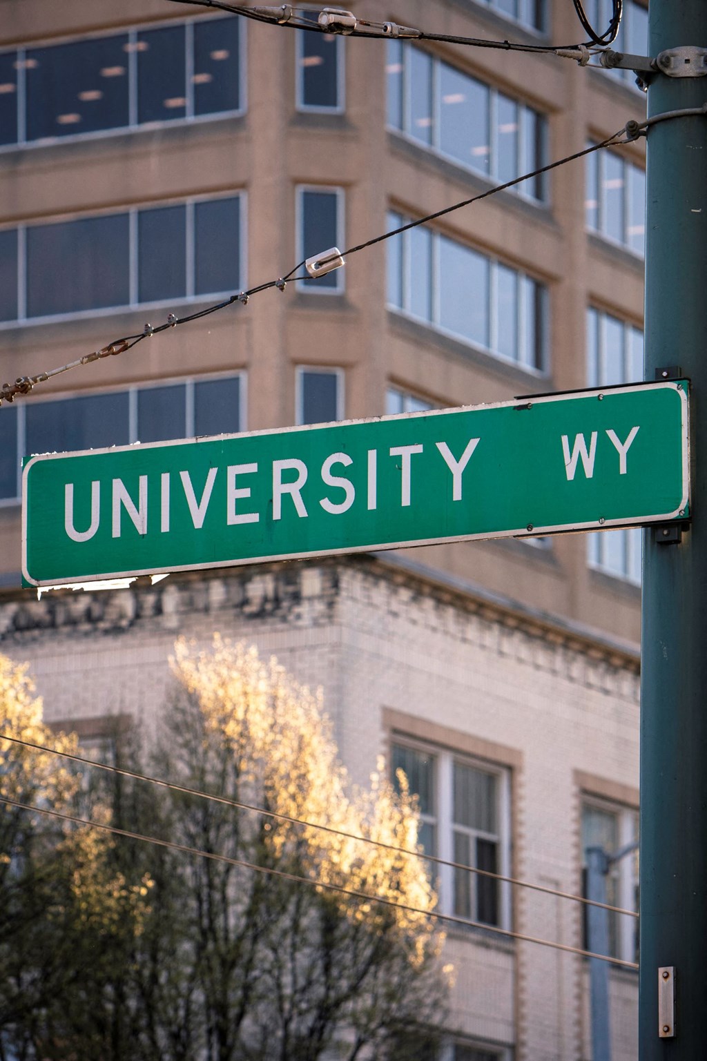 Sundodger Neighborhood