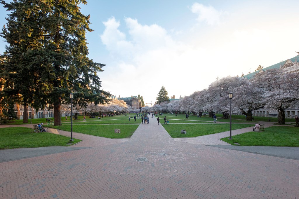 Sundodger Neighborhood