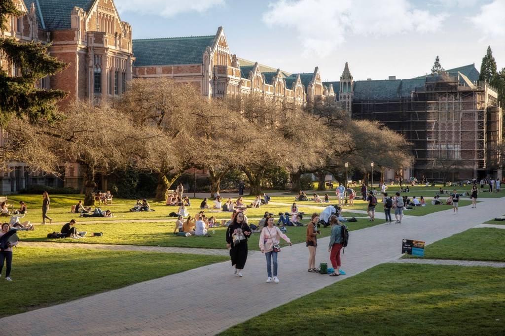 Sundodger Neighborhood