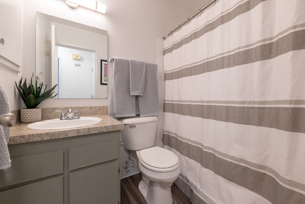 a bathroom with a shower and a sink and a toilet