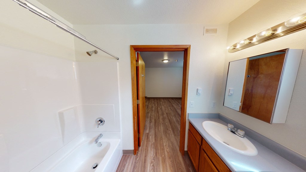 a bathroom with a tub and a sink and a mirror