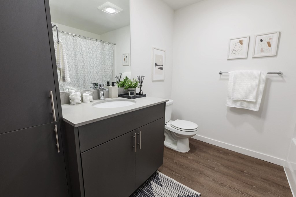 a bathroom with a sink and a toilet and a mirror