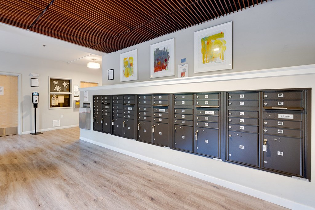 A row of mailboxes are lined up on a wall.