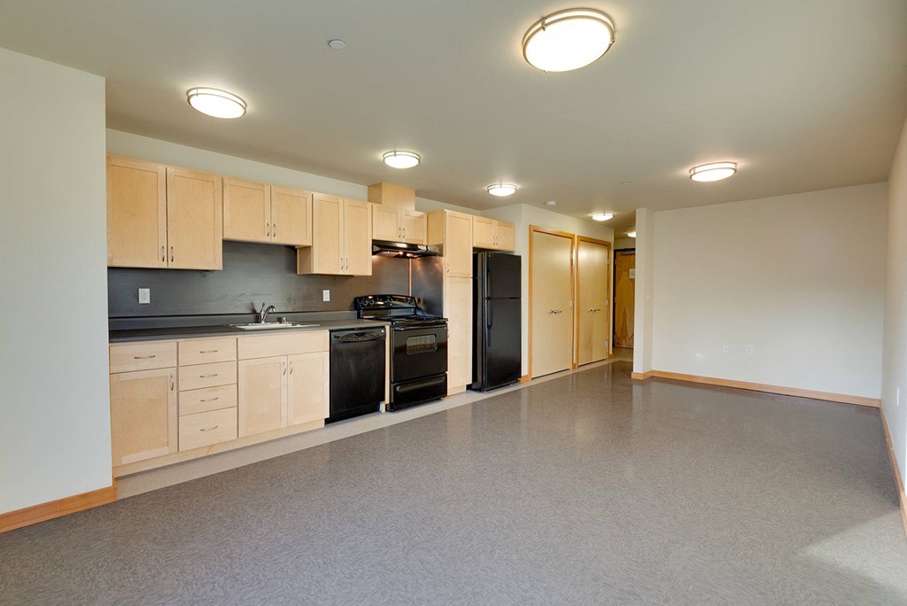A kitchen with a black dishwasher and black refrigerator.