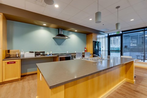 A modern kitchen with a long counter and wooden cabinets.