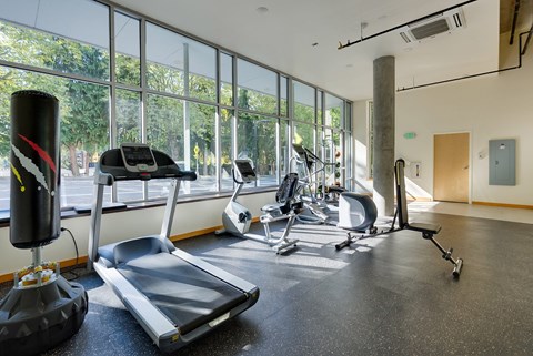 A gym with treadmills, weights, and exercise equipment.