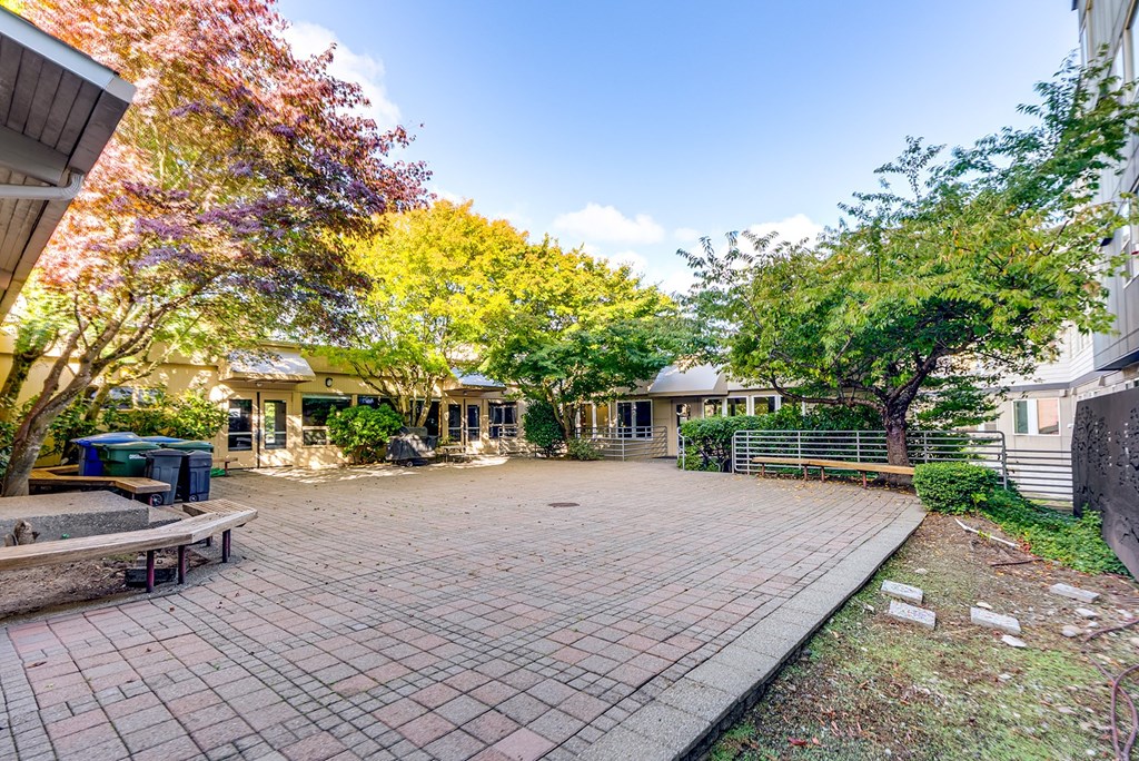 A driveway leads to a house with a tree in front of it.