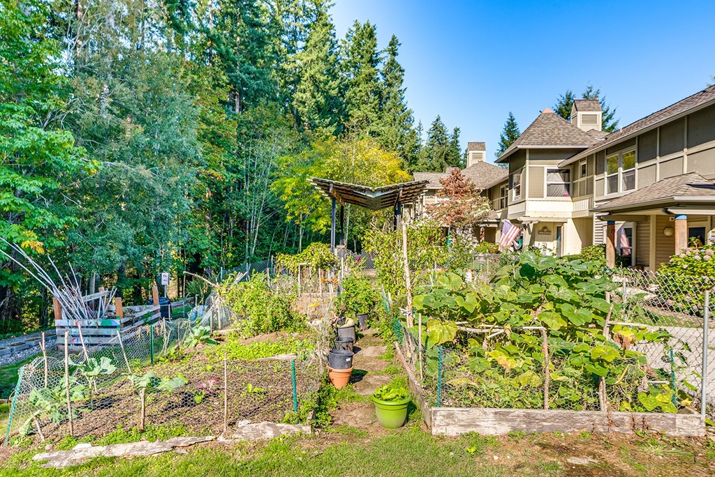 A backyard with a vegetable garden and a house in the background.