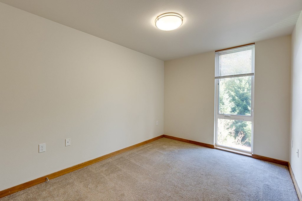 A room with a window and a carpeted floor.