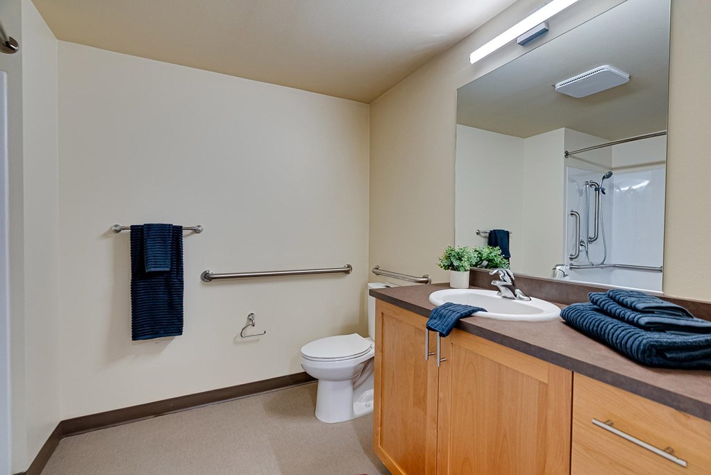 A bathroom with a toilet, sink, and mirror.