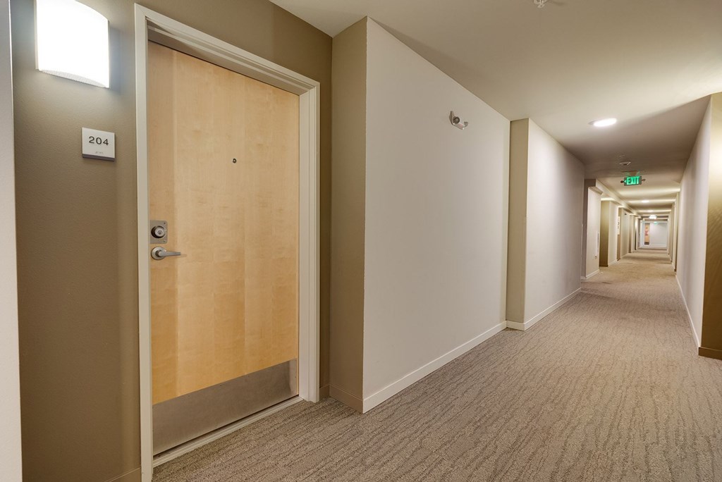 A hallway with a door numbered 204.